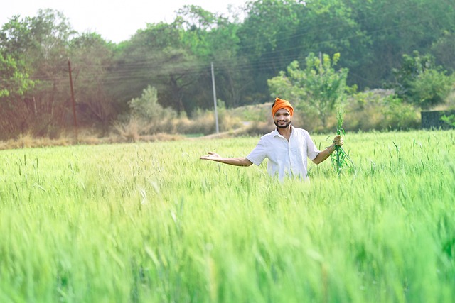 मैत्री आणि बलिदान